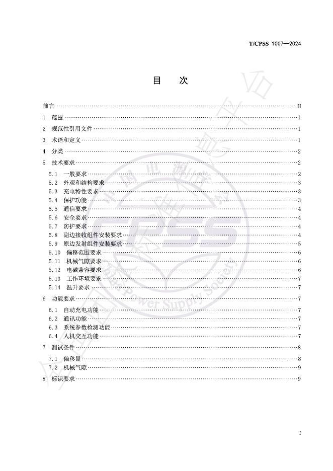 T/CPSS 1007-2024 标准预览