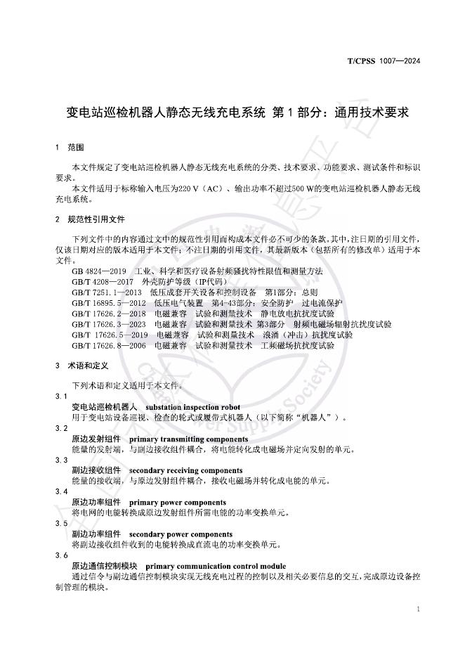 T/CPSS 1007-2024 标准预览
