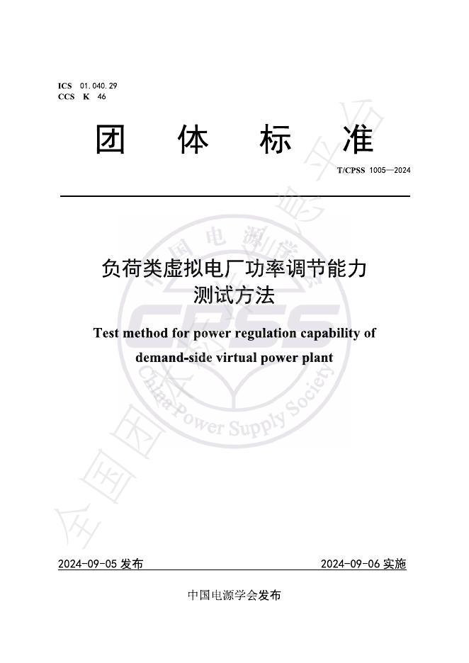 T/CPSS 1005-2024 标准预览