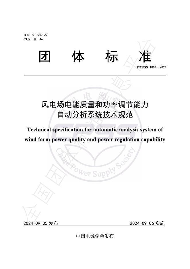 T/CPSS 1004-2024 标准预览