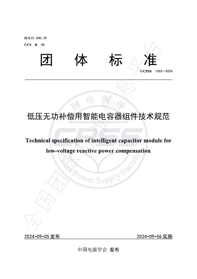T/CPSS 1003-2024 标准预览