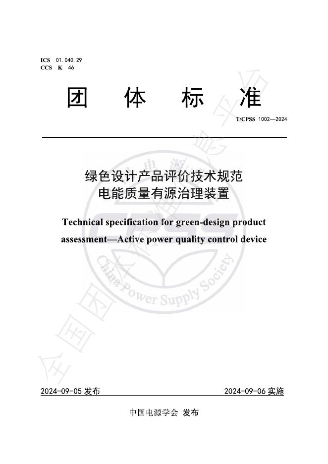 T/CPSS 1002-2024 标准预览