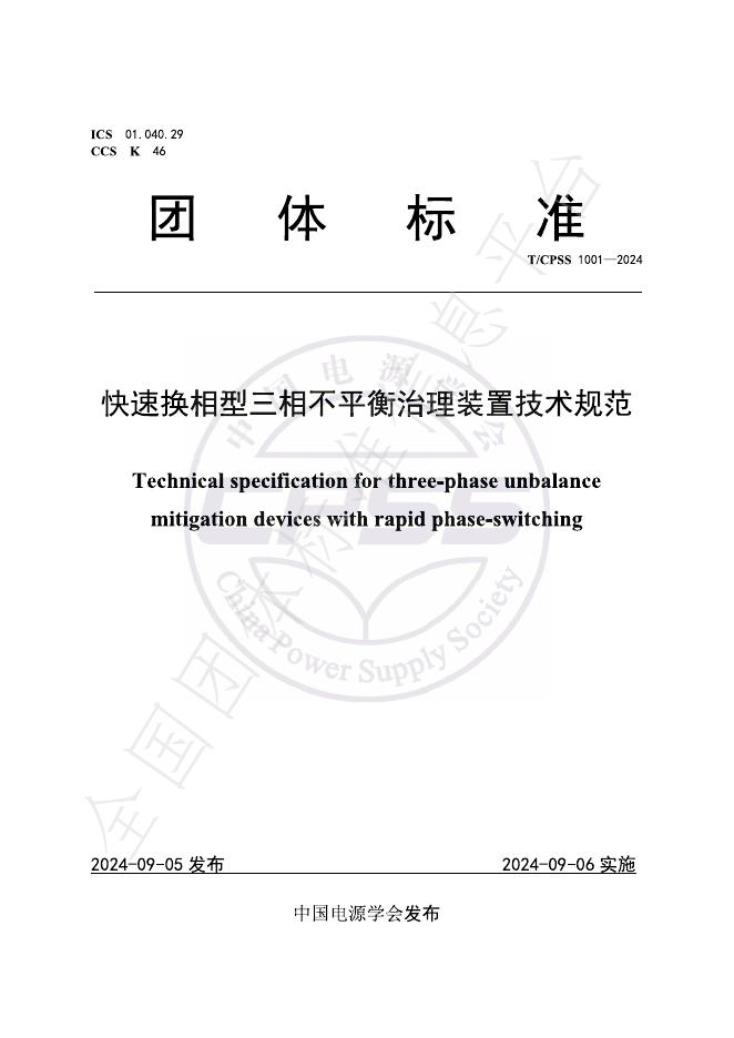 T/CPSS 1001-2024 标准预览