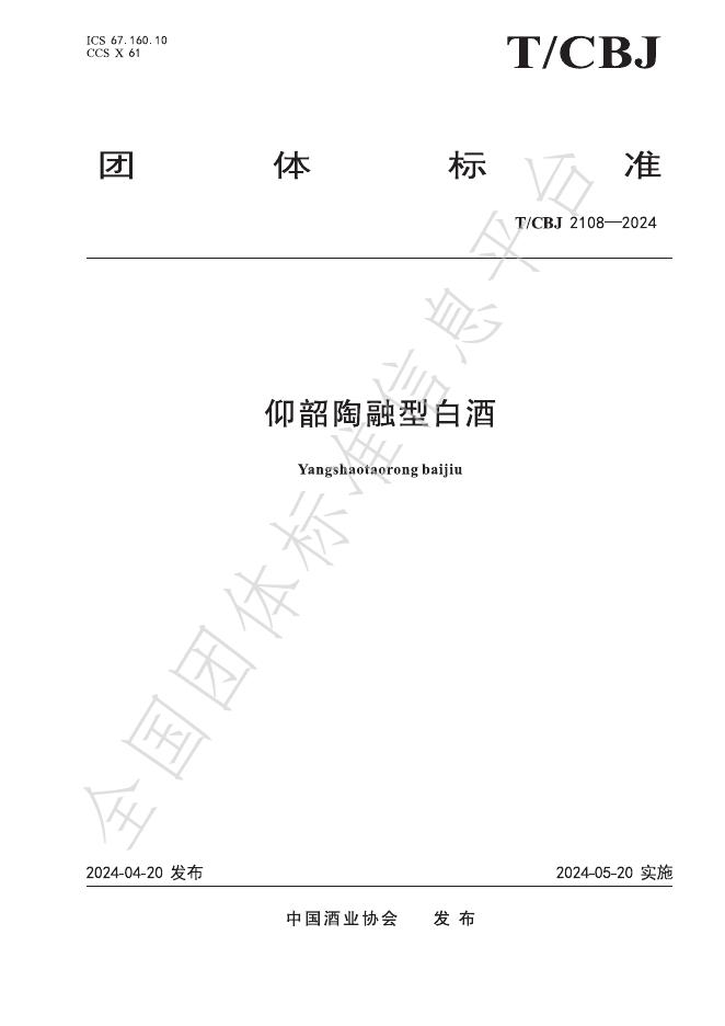 T/CBJ 2108-2024 标准预览