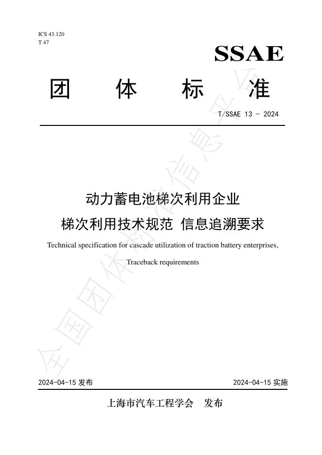 T/SSAE 13-2024 标准预览
