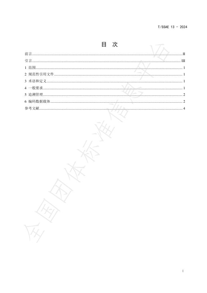 T/SSAE 13-2024 标准预览