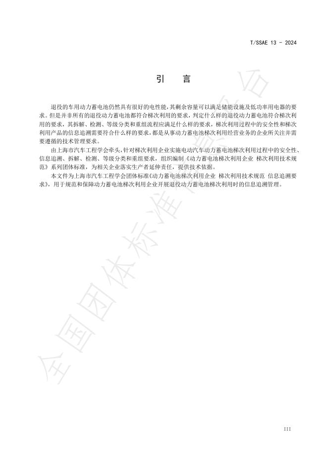 T/SSAE 13-2024 标准预览
