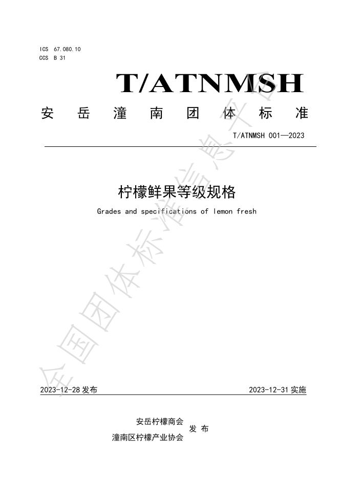 T/AYNMSH 001-2023 标准预览