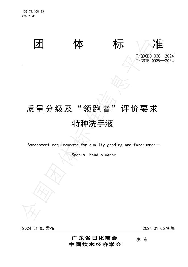 T/GDCDC 038-2024 标准预览