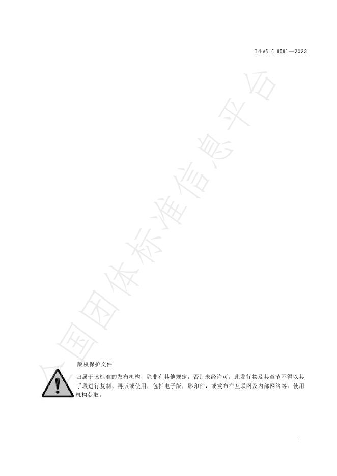 T/HASIC 0001-2023 标准预览