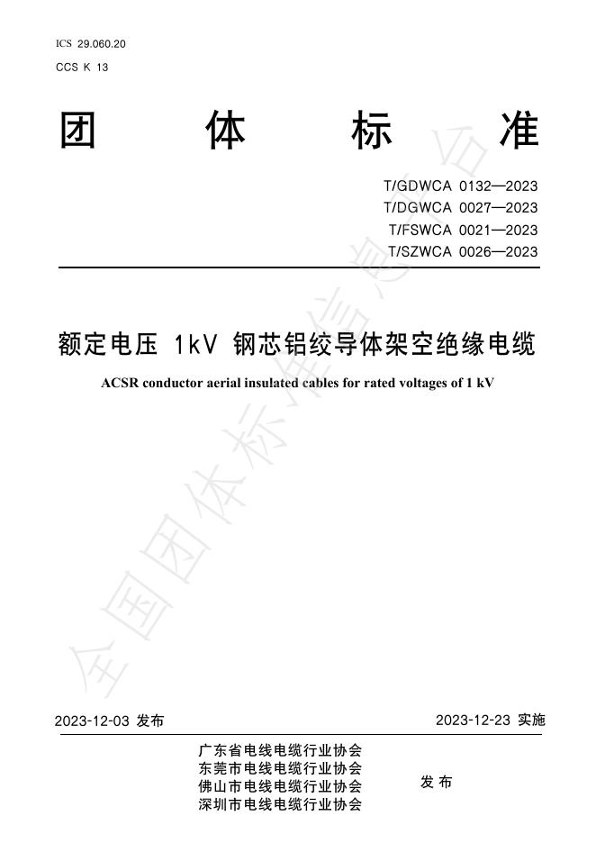 T/GDWCA 0132-2023 标准预览