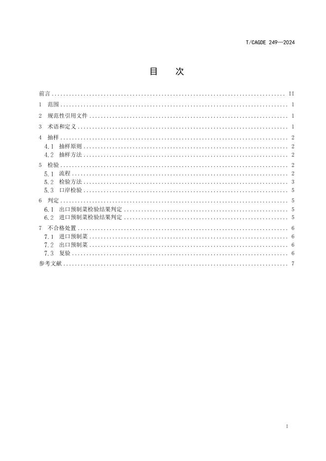 T/CAGDE 249-2024 标准预览