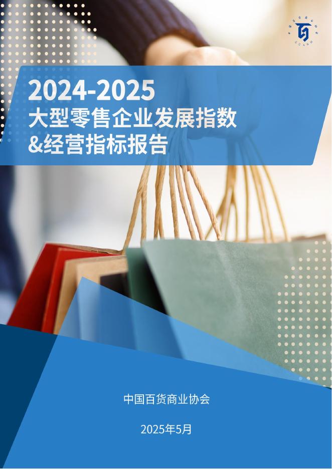 中国百货商业协会：2024-2025大型零售企业发展指数&经营指标报告海报