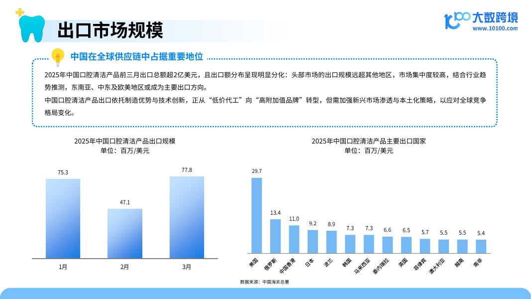 大数跨境：2025年口腔护理产品出海研究报告_第7页