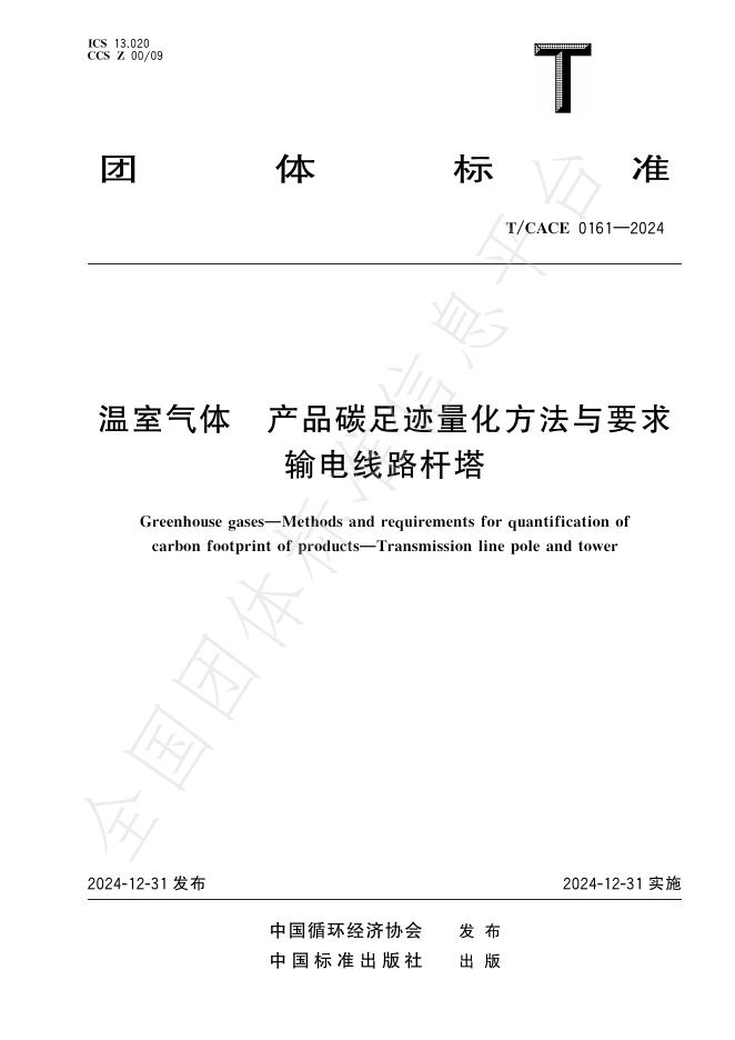 T/CACE 0161-2024 标准预览