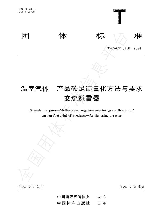 T/CACE 0160-2024 标准预览