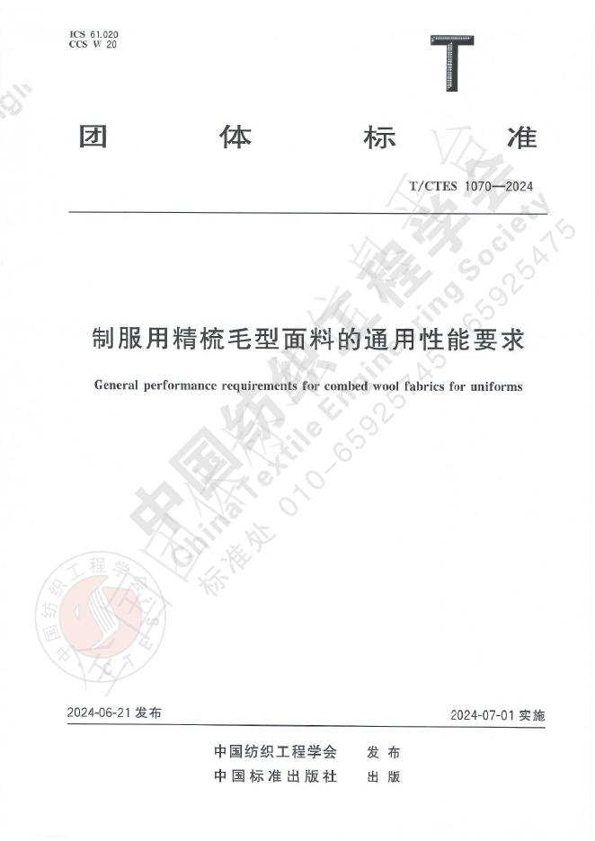 T/CTES 1070-2024 标准预览