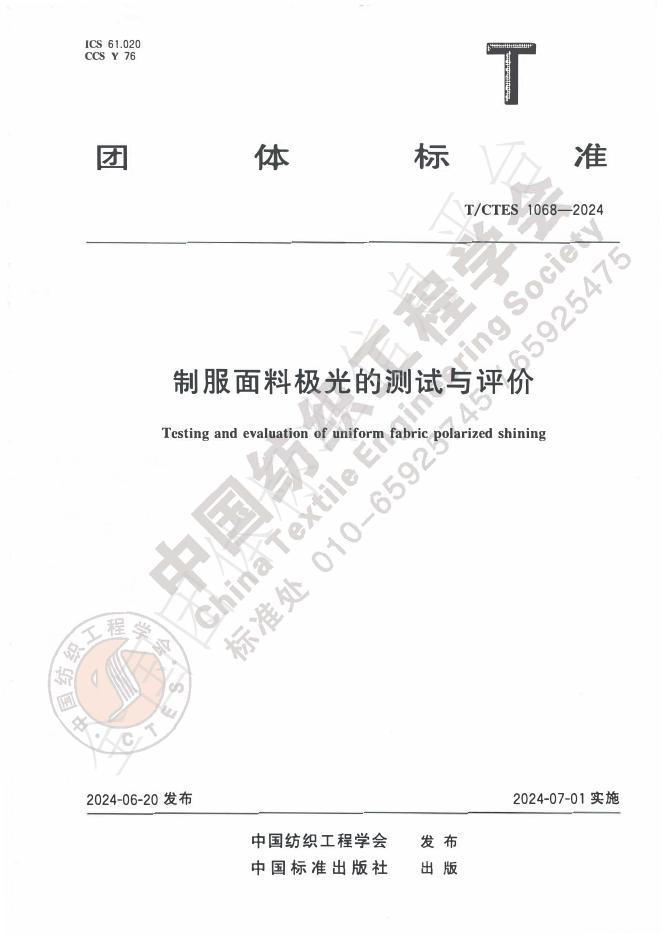 T/CTES 1068-2024 标准预览