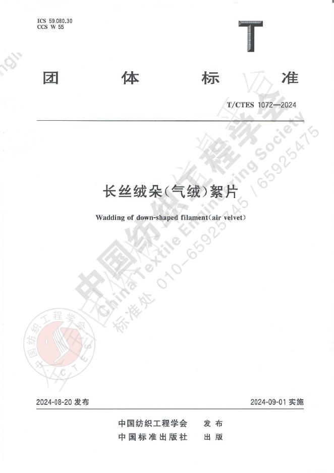 T/CTES 1072-2024 标准预览