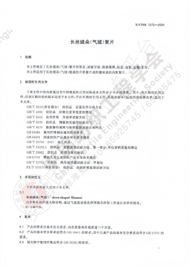 T/CTES 1072-2024 标准预览