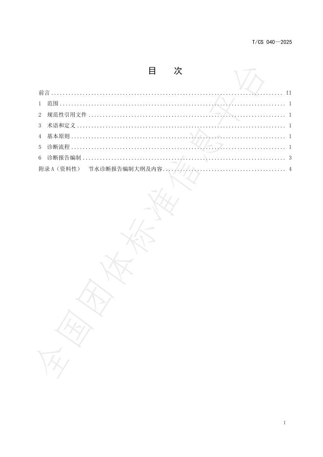 T/CS 040-2025 标准预览