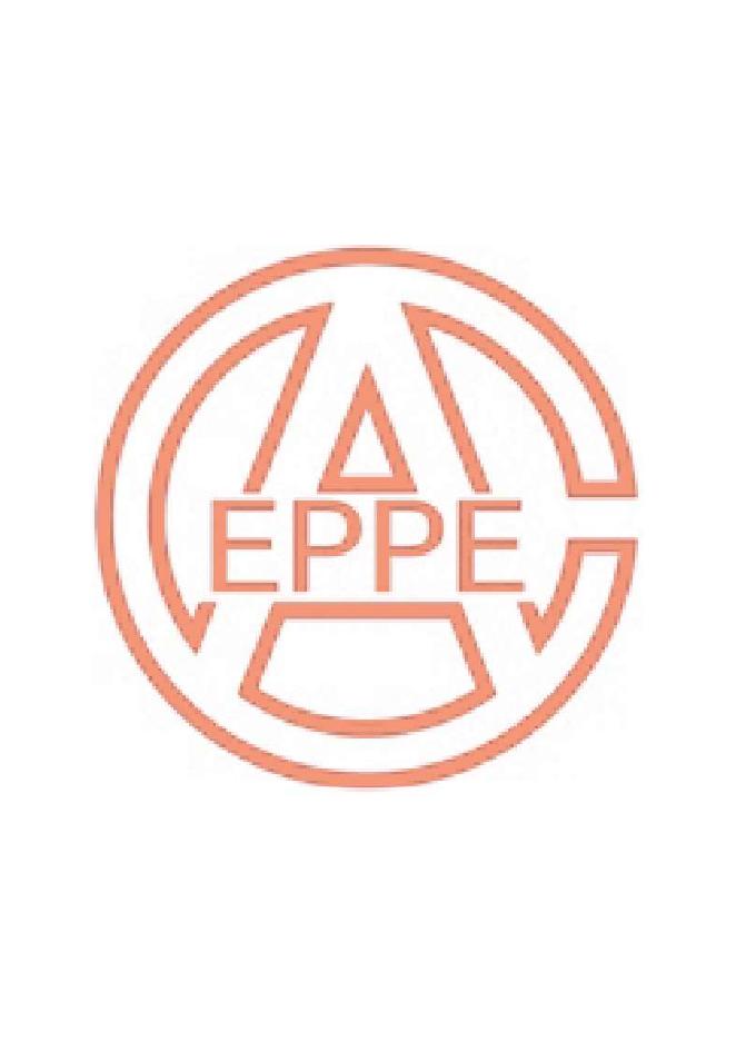 T/CEPPEA 5007-2021 标准预览