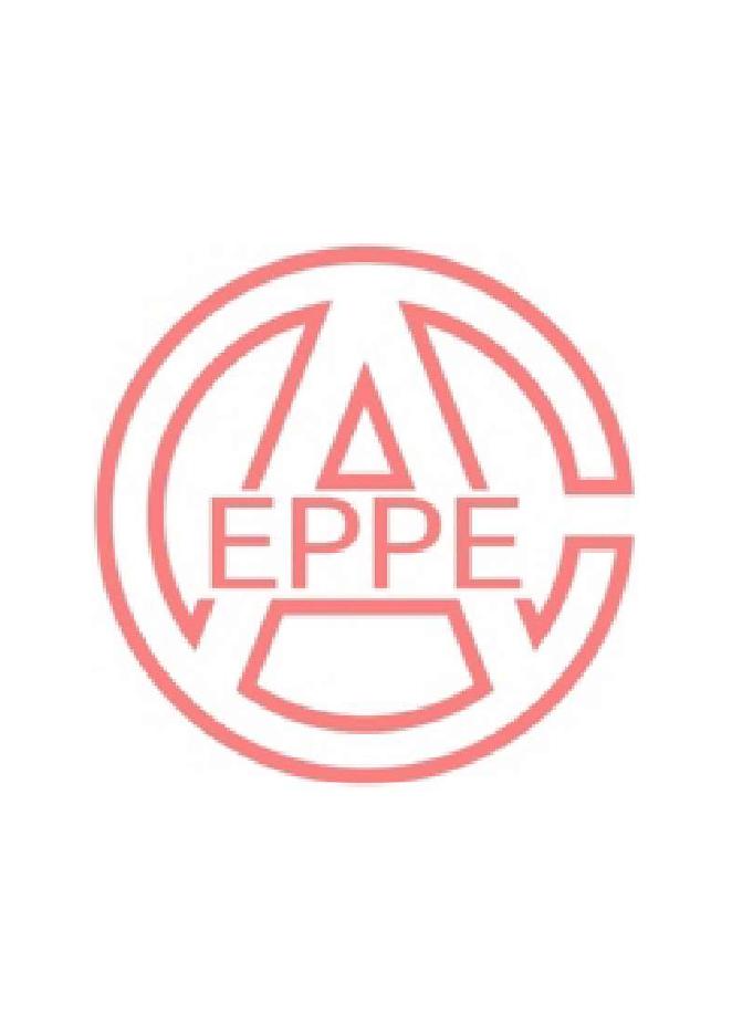 T/CEPPEA 5007-2021 标准预览
