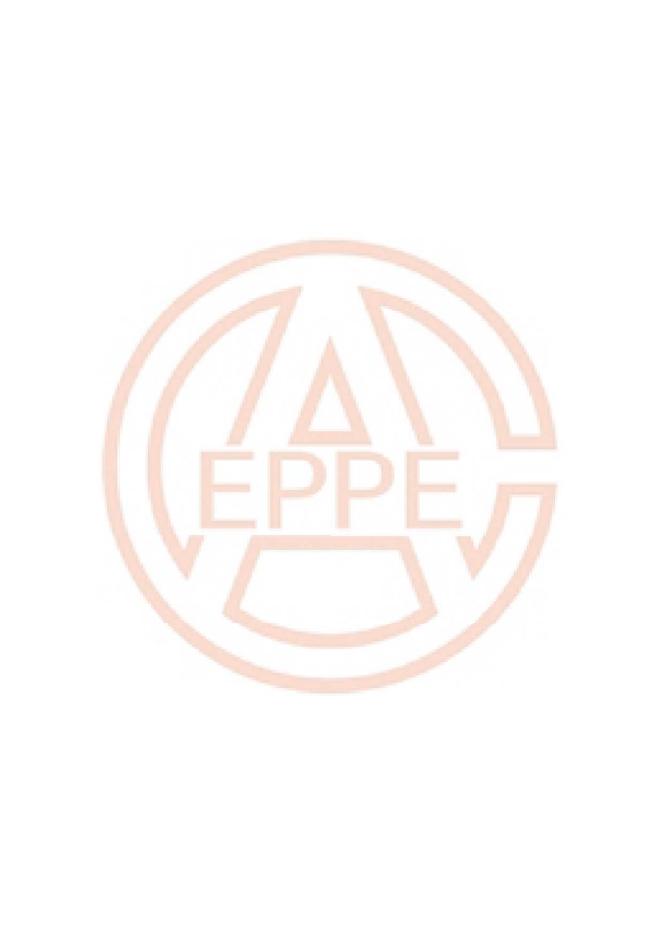 T/CEPPEA 5001.2-2019 标准预览