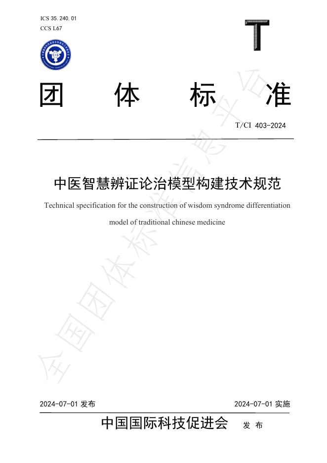 T/CI 404-2024 标准预览