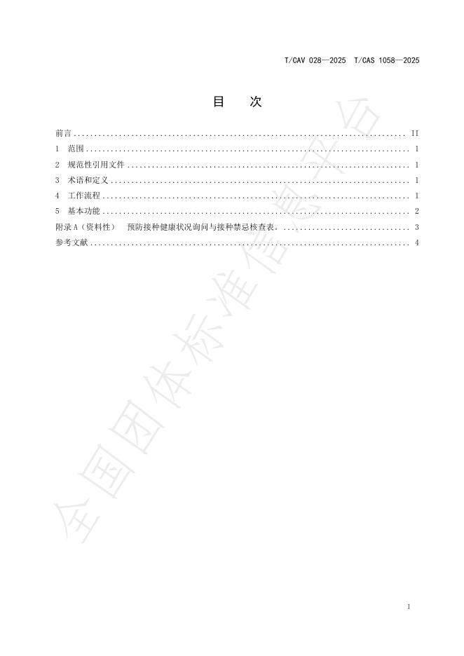 T/CAV 028-2025 标准预览
