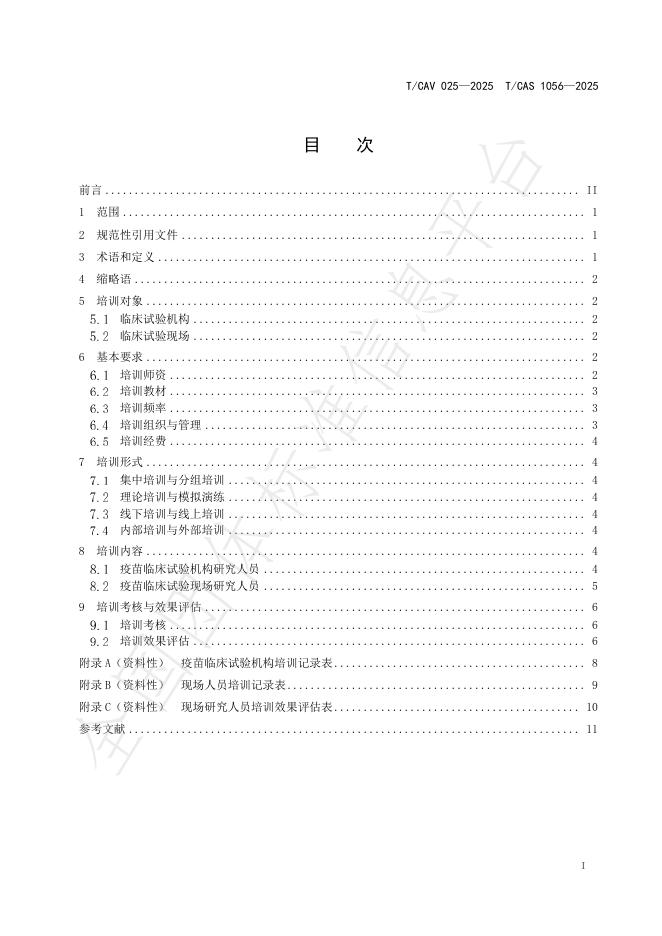 T/CAV 025-2025 标准预览
