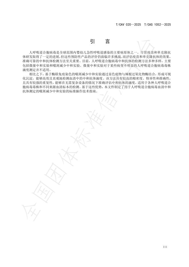 T/CAV 020-2025 标准预览