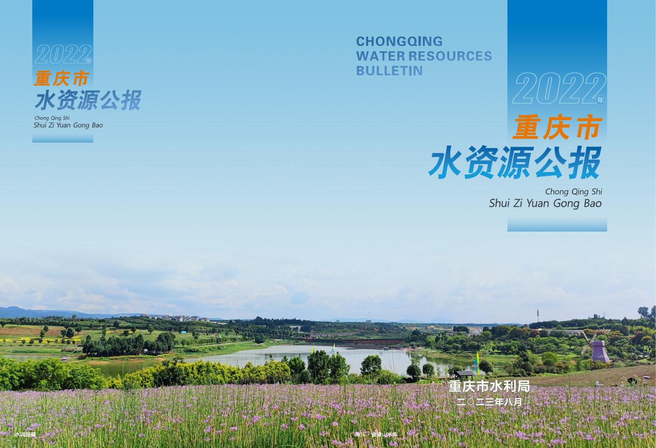 2022年重庆市水资源公报