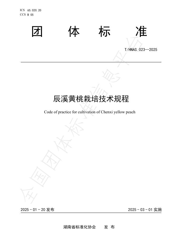 T/HNAS 023-2025 标准预览