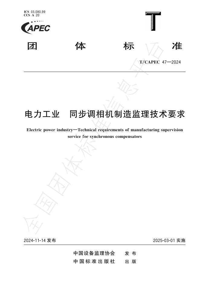T/CAPEC 47-2024 标准预览