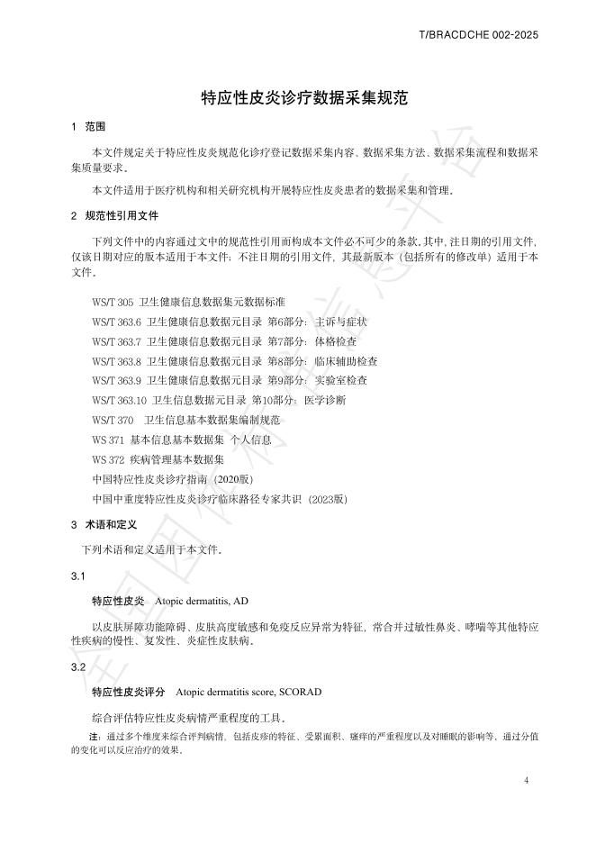 T/BRACDCHE 002-2025 标准预览