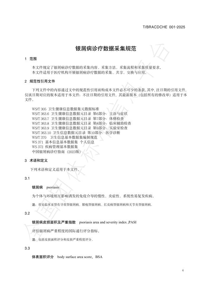 T/BRACDCHE 001-2025 标准预览