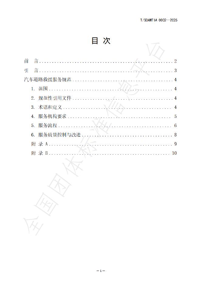 T/SDAMTIA 0002-2025 标准预览