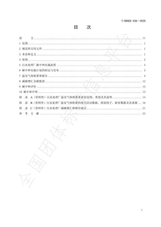 T/SDSES 036-2025 标准预览