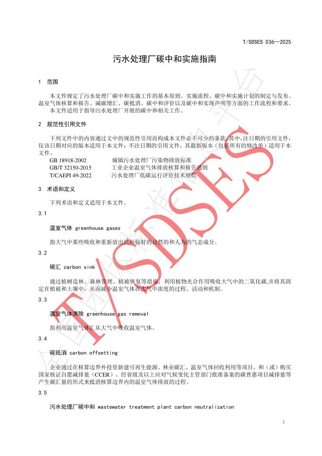 T/SDSES 036-2025 标准预览