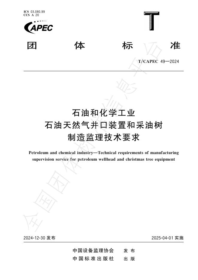 T/CAPEC 49-2024 标准预览