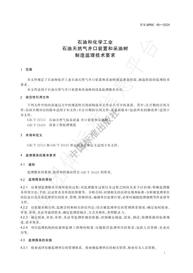 T/CAPEC 49-2024 标准预览