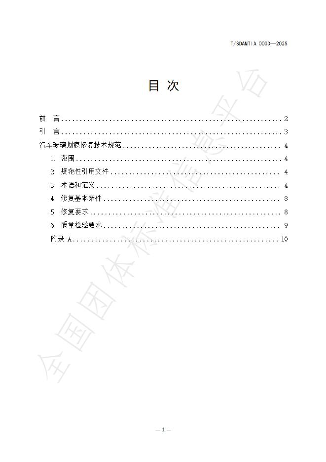 T/SDAMTIA 0003-2025 标准预览