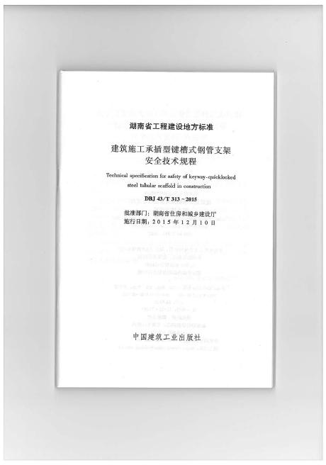 DBJ43/T 313-2015 标准预览