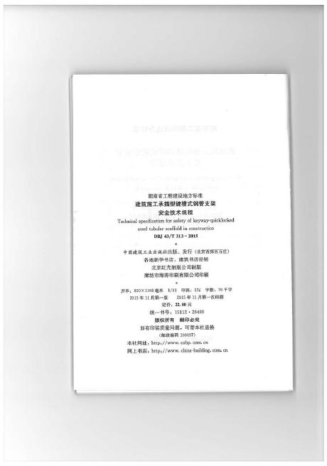 DBJ43/T 313-2015 标准预览
