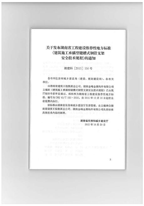 DBJ43/T 313-2015 标准预览