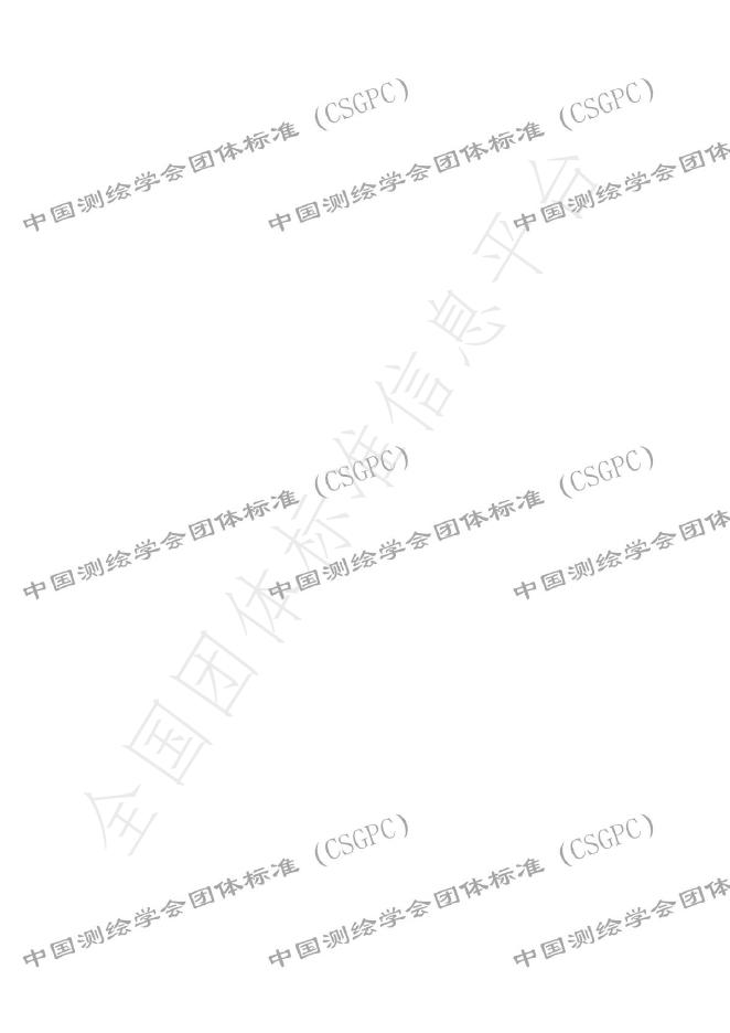 T/CSGPC 051-2025 标准预览
