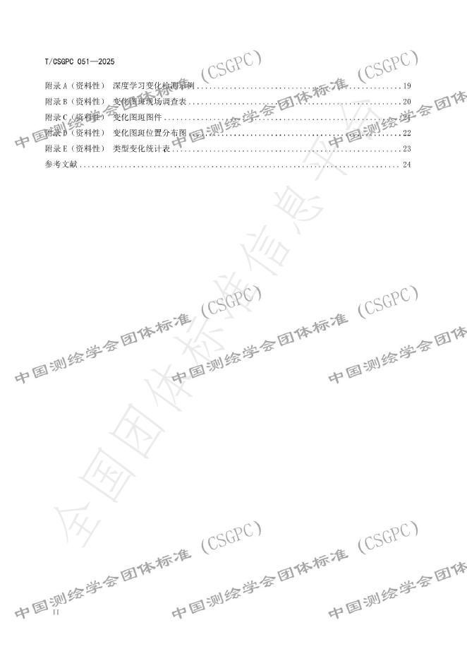 T/CSGPC 051-2025 标准预览