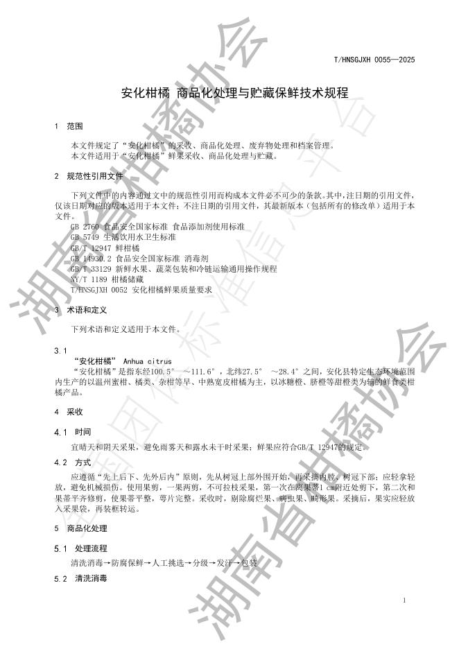 T/HNSGJXH 0055-2025 标准预览