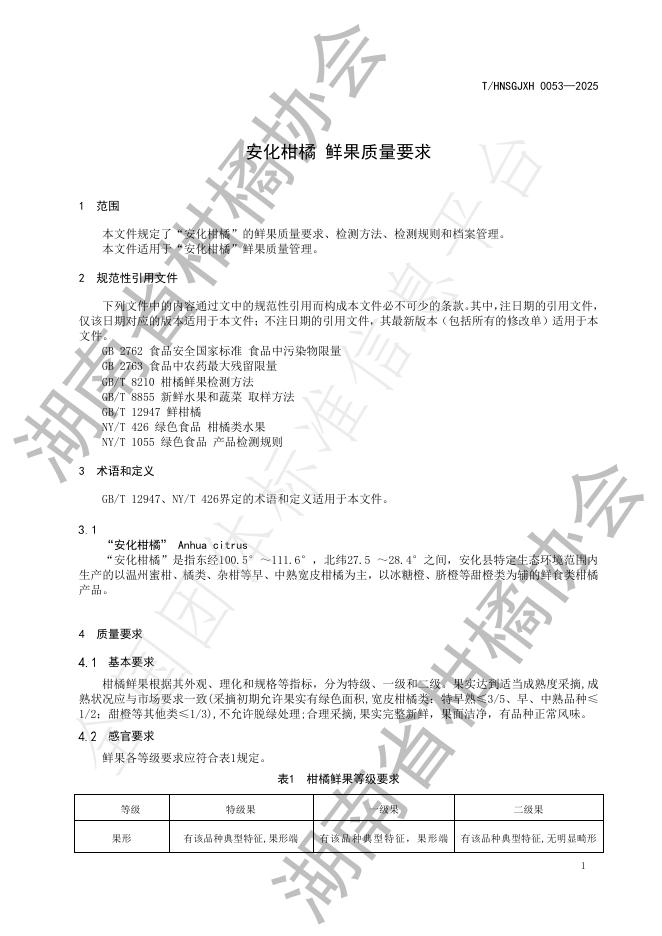 T/HNSGJXH 0053-2025 标准预览